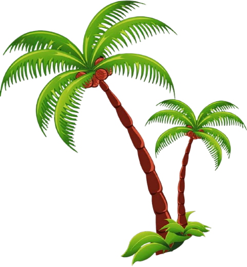 Palm Tree
